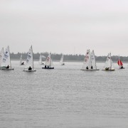 Endlich wieder Regatta Bild 3