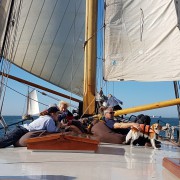 Plattbodenschifffahrt vom SvSE Bild 8