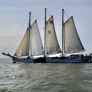 Plattbodenschifffahrt vom SvSE Bild 20