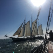 Plattbodenschifffahrt vom SvSE Bild 31