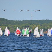 Erfolgreicher Start der Teenys bei der Teeny Trophy Bild 3