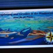 Gezeitenseminar mit großer Nachfrage Bild 2