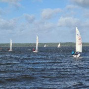 Herbstliches Segeln auf dem Steinhuder Meer Bild 1