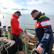 Plattbodenschifffahrt in den Niederlanden Bild 8