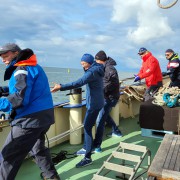 Plattbodenschifffahrt in den Niederlanden Bild 11
