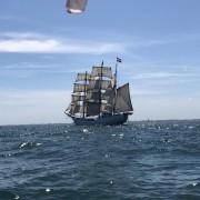 Rege Regattatätigkeit der Zweihandgruppen Bild 3