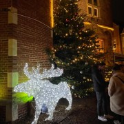 Erster Vereinsbesuch auf dem Meppener Weihnachtsmarkt Bild 3