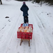 Neujahrstraining 2026 Bild 2