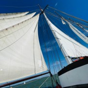 Plattbodenschiff-Tour des Vereins Bild 9