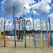 Schnuppersegeln begeistert zahlreiche Gäste Bild 1